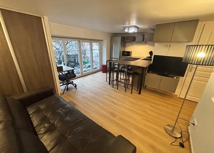 Le Jardin De T2 Hyper Center דירה גרנובל