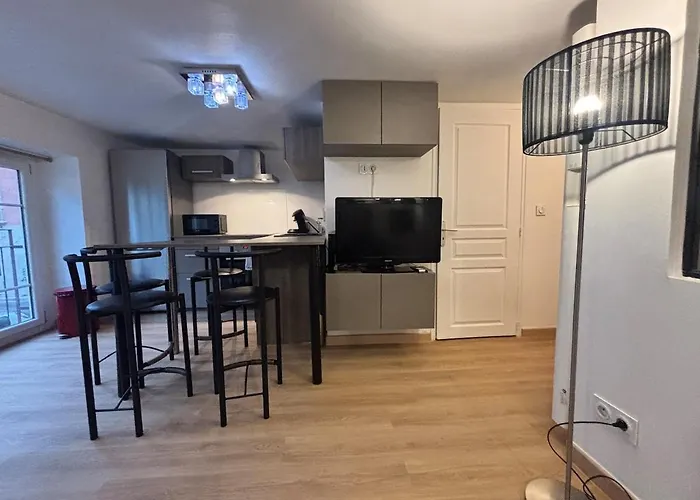 Le Jardin De T2 Hyper Center דירה *