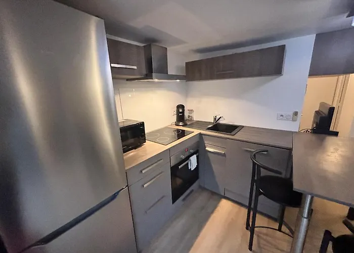 Le Jardin De T2 Hyper Center Apartamento Grenoble